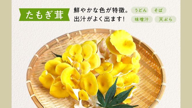 【3ヶ月定期便】きのこ の 詰め合わせ Lサイズ( 約2kg ) （茨城県共通返礼品：城里町） キノコ セット 野菜 低カロリー ダイエット デトックス バラエティ セット 新鮮 [DY007us]