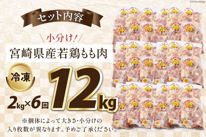 鶏肉 6回 定期便 宮崎県産 若鶏 もも 2kg [エム・ティ・シー 宮崎県 日向市 452061368] 小分け モモ もも肉 モモ肉 冷凍 肉 宮崎