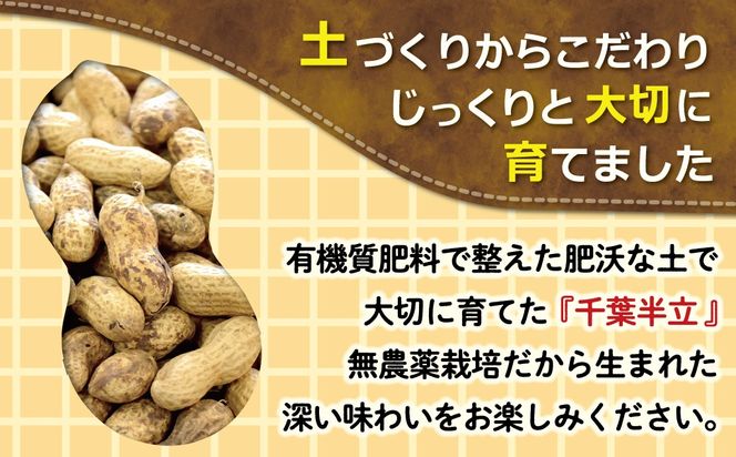 【先行予約】【12月上旬から発送】千葉県産 カラ煎り落花生 千葉半立 600g（200g×3）　SMF004