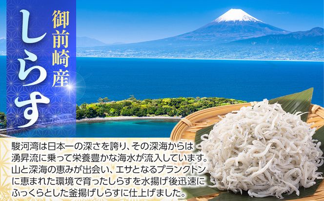 御前崎産　特選釜揚げしらす【計700g (70g×10袋)】 222232_BC009