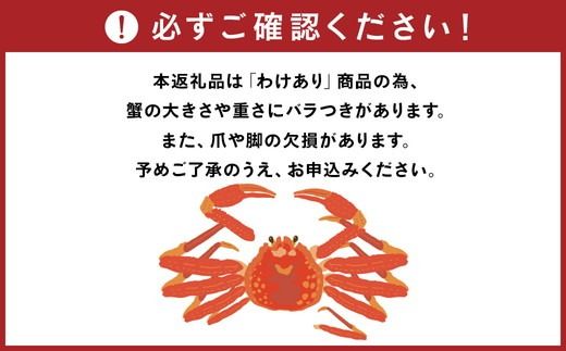 訳あり カニ 魚卸問屋のベニズワイガニ 約2kg 蟹 かに 紅ズワイガニ はりたや【 わけあり 】 ※2025年9月下旬～2026年5月下旬頃に順次発送予定 ※北海道・沖縄・離島への配送不可