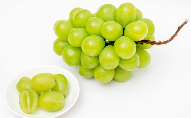 桃 ぶどう 2026年 先行予約 果物詰合せ 白桃 2玉（1玉200g以上） シャイン マスカット 晴王 2房（合計約940g）化粧箱入り 岡山県産 国産 フルーツ ギフト 果物類 セット 