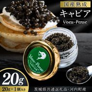 【茨城県共通返礼品・河内町産】国産熟成キャビアVoeu-Pense (20g×１瓶）【トキタ 珍味 コラーゲン DHA・EPA 国産 熟成 お土産 贈り物】（KED-01)