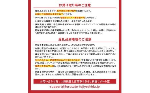 【2025年先行予約】数量限定！山梨県産シャインマスカット約1㎏（2房）