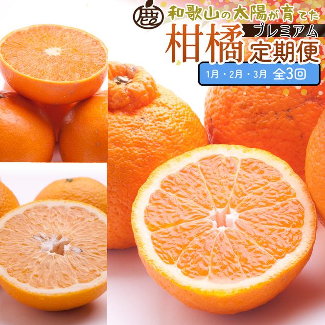 ya̎R쒬zI kSi1`3jS3mIKE288n 303446_BB90197