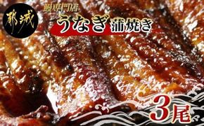職人手焼きの本格うなぎ蒲焼き3尾_AC-3301
