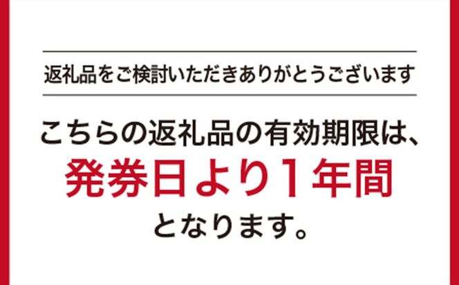 GINZA Global Style オーダースーツ商品券（100000円券） 312011_EK007