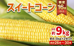 宮崎県産 スイートコーン 約9kg（約4.5kg×2箱）
