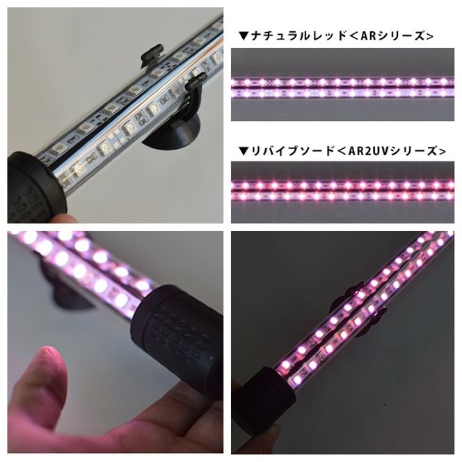 朱紫龍灯 リバイブソード EX LED 2列 UV 紅龍|AR2-90-UV-EX［172C14］朱紫龍 紅龍 水中 アロワナ 紫外線 UVチップ 照射 水槽ライト テンニングライト ライト 照明 水中照明 光 綺麗 強化ガラス 吸盤 1年保証 簡単 設置 でんらい インテリア 雑貨 愛知県 小牧市 送料無料
