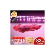 朱紫龍灯 リバイブソード EX LED 2列 UV 紅龍|AR2-90-UV-EX［172C14］朱紫龍 紅龍 水中 アロワナ 紫外線 UVチップ 照射 水槽ライト テンニングライト ライト 照明 水中照明 光 綺麗 強化ガラス 吸盤 1年保証 簡単 設置 でんらい インテリア 雑貨 愛知県 小牧市 送料無料