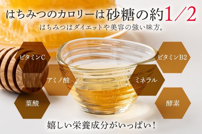 はちみつ 使いやすいプラ容器入り 非加熱生はちみつ 百花 300g 1本 純粋生はちみつ 376
