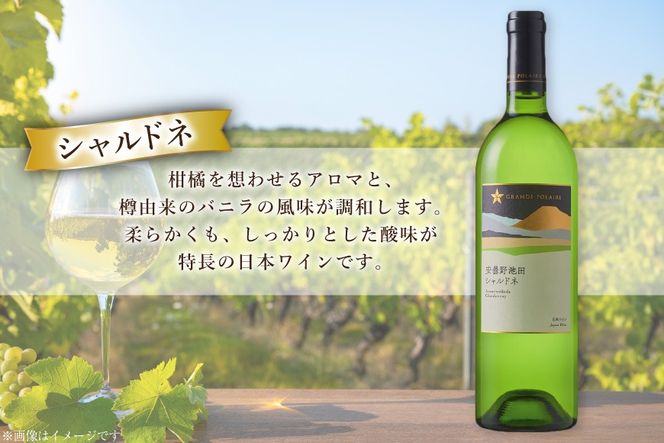 ワイン セット サッポログランポレール 安曇野池田ヴィンヤードワイン 白2種セット 750ml 計2本 [ナチュラルマルシェ ソヨソヨ 長野県 池田町 48110930] 酒 お酒 アルコール 白 白ワイン ブラン 国産 あるこーる ぶどう 特別 辛口 料理 セット