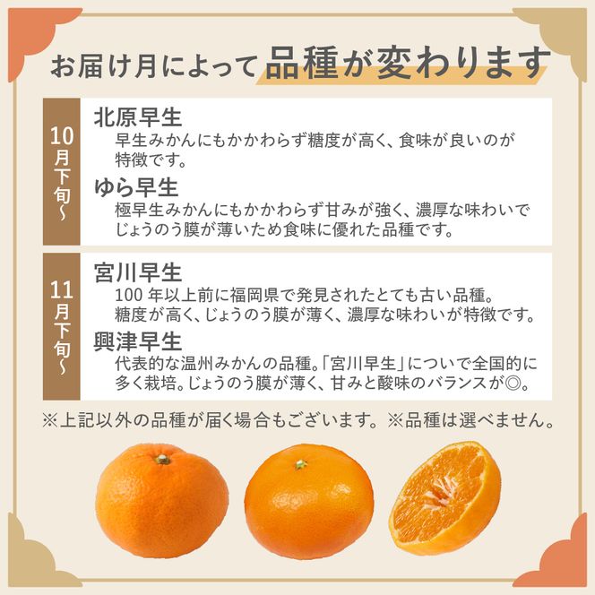 むなかた温州みかん 5kg 【2026年10月下旬～12月発送】【JAほたるの里】_HA1345