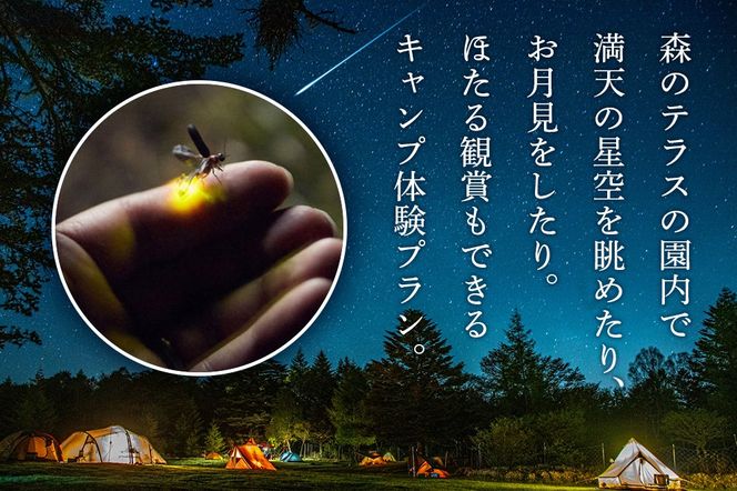 キャンプ 森のテラス キャンプ体験プラン 森吉|mrtr-050101