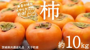 【2026年10月より発送開始】柿 品種おまかせ 約10kg（茨城県共通返礼品 [柿]：大子町産）柿 かき カキ 果物 フルーツ 茨城県産 [BI429-NT]
