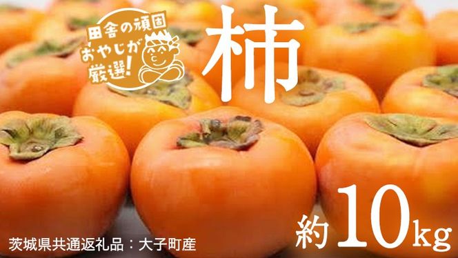 【2026年10月より発送開始】柿 品種おまかせ 約10kg（茨城県共通返礼品 [柿]：大子町産）柿 かき カキ 果物 フルーツ 茨城県産 [BI429-NT]