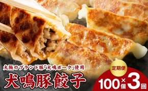 099Z556 【泉佐野ブランド豚】犬鳴豚餃子 100個×3回【国産 豚肉 ぶたにく 定期便 犬鳴ポーク 焼くだけ 人気 総菜 冷凍】