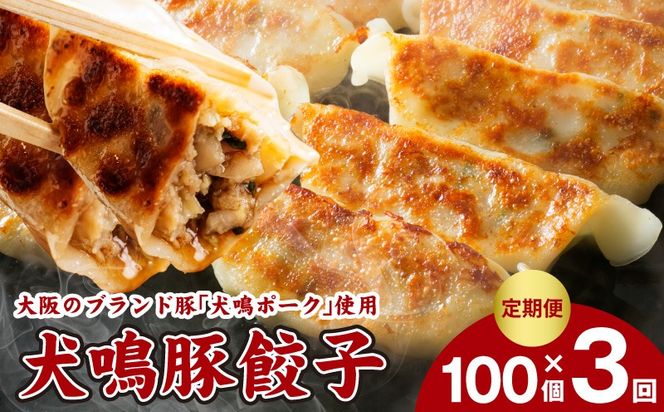 G5384 【泉佐野ブランド豚】犬鳴豚餃子 100個×3回【国産 豚肉 ぶたにく 定期便 犬鳴ポーク 焼くだけ 人気 総菜 冷凍】