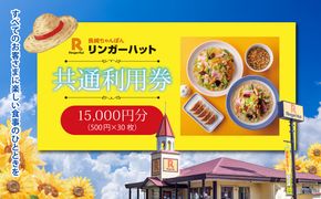 エリア限定 リンガーハット グループ 共通 利用券　15000円（500円×30枚）