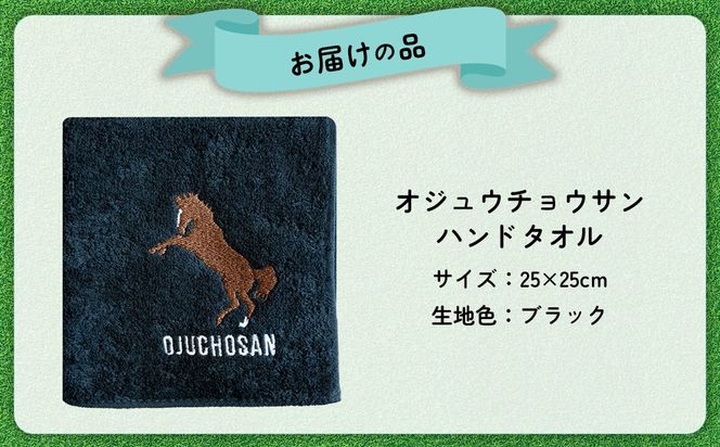 【オジュウチョウサン】ハンドタオル BRTV008