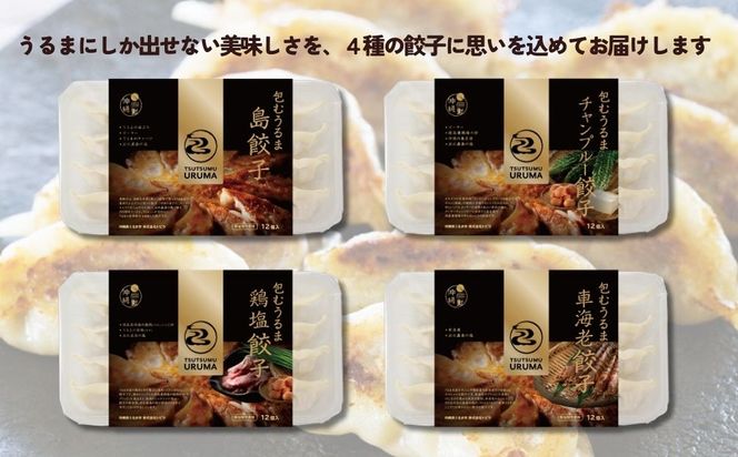 包むうるま餃子 4種セット（島餃子・鶏塩餃子・チャンプルー餃子・車海老餃子）