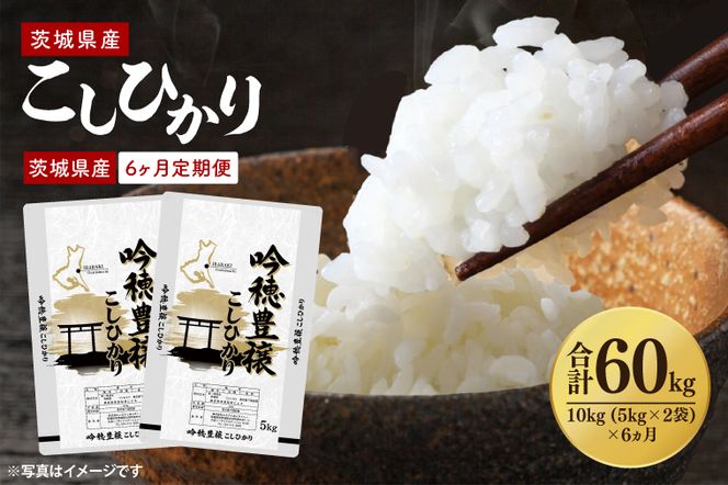 【6ヵ月定期便】＜令和8年産 ＞新米吟穂豊穣こしひかり 10kg(5kg×2袋)×6ヵ月（茨城県産）精米 コシヒカリ こしひかり 米 ごはん コメ お米 白米 国産 茨城県産