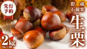《 先行予約 》 栗 2kg （ 1kg × 2袋 ） 茨城県産 貯蔵 石鎚栗 生栗 くり クリ マロン 栗ご飯 栗ごはん 果物 フルーツ 冬 正月 おせち いしづち JA全農いばらき JA 【 2026年1月20日以降発送開始 】