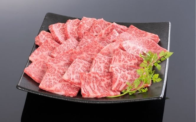 熊野牛 肩ロース 焼肉用 500g【mtf421A】