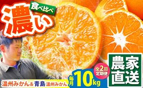 【2026年10月下旬～発送】【2回定期便】温州みかん 食べ比べ 10kg×2回 / みかん 青島みかん ミカン 蜜柑 甘い フルーツ 果物 / 南島原市 / 蜜柑屋まつお[SCQ004]