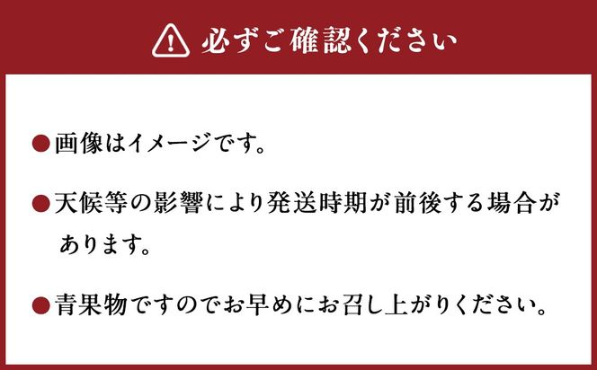 ＜宮崎県産完熟マンゴー L×3玉（約900g）＞2026年4月中旬～7月下旬までに順次出荷【c1130_mm_x2】