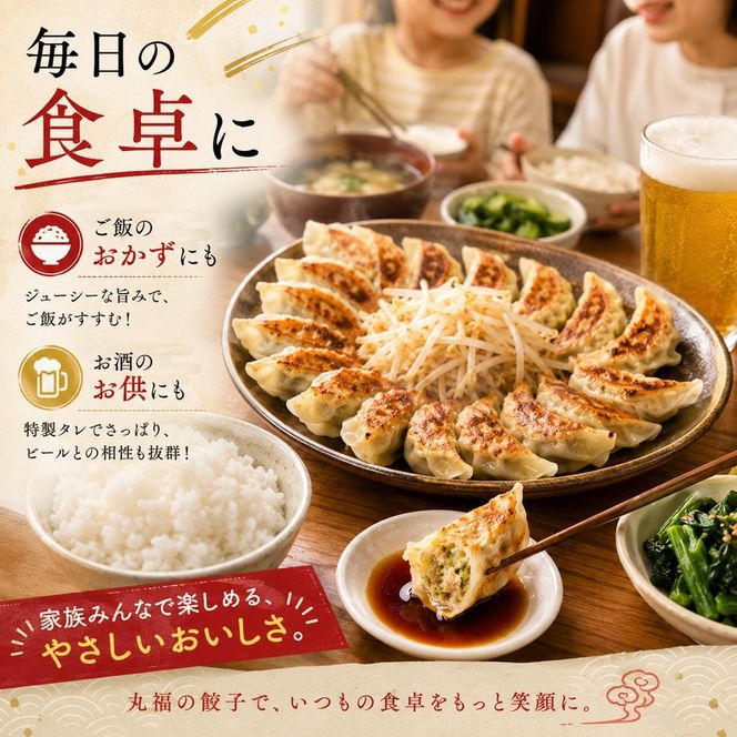 餃子 リピーター続出！ 遠州名物 丸福の餃子 タレ付き ぎょうざ ギョーザ ギョウザ 惣菜 おかず 中華 点心 加工食品 冷凍 静岡 