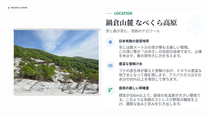 【令和9年産先行予約】アスパラガス みゆきアスペルジュ Mサイズ 2kg入り(60〜72本)《出荷時期：2027年5月中旬頃〜》株式会社ForestDoor (Ce-007)