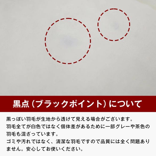 140×190cm 小さめ羽毛ふとん 1.0kg入 85％ セミシングル ジュニア ふわかる1410