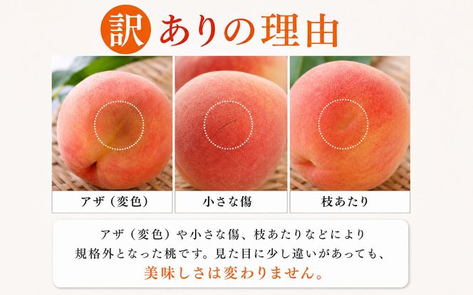 【ご家庭用訳あり】紀州和歌山産の桃　約1.8kg（5玉〜8玉）※2027年7月中旬頃〜8月中旬頃順次発送（お届け日指定不可）【uot873】