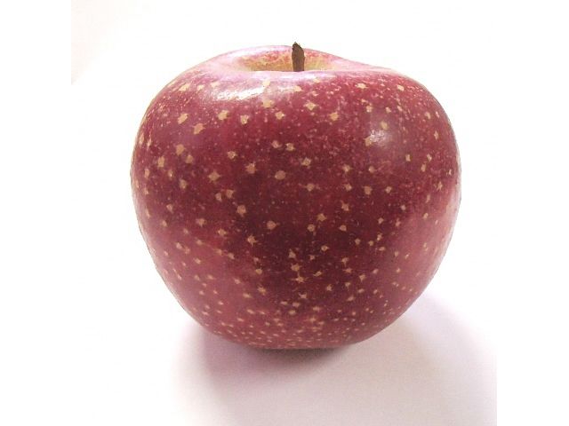 風丸農場 千雪りんごと完熟紅玉りんごのジュース 無添加 青森県産 180ml各4本 計8本セット 飲料類 果汁 酸味 さっぱり ポリフェノール 不思議 甘さ 香り 