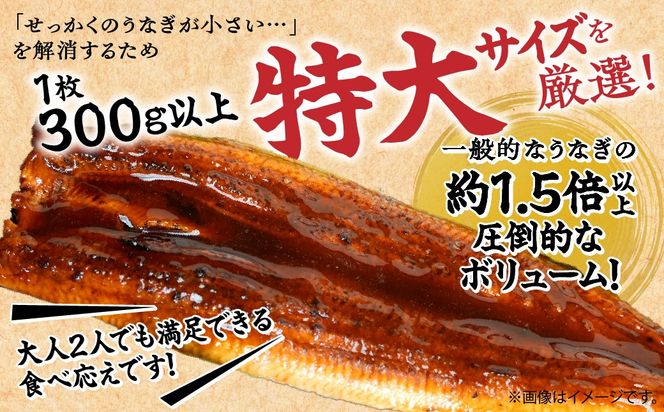 【お試し用】【特大うなぎ蒲焼】老舗寿司屋の職人仕込み 300g×2枚 BRTAD001-1