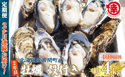 ykCCԒzys\zy10{珇zJL kt 2NL 4kgi40Oj CԎY m2ցn SRMA042