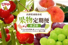 【2025年先行予約 全3回 定期便】東根市産 GI東根さくらんぼ、白桃、シャインマスカットとブラックシャインマスカット詰め合わせ 果物定期便　hi074-005-2