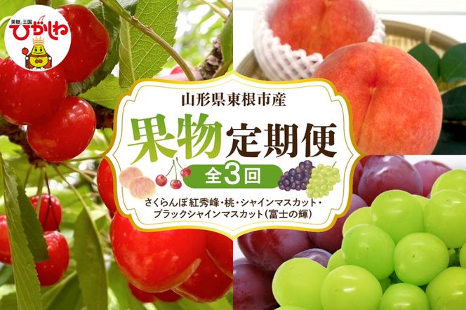 【2025年先行予約 全3回 定期便】東根市産 GI東根さくらんぼ、白桃、シャインマスカットとブラックシャインマスカット詰め合わせ 果物定期便　hi074-005-2