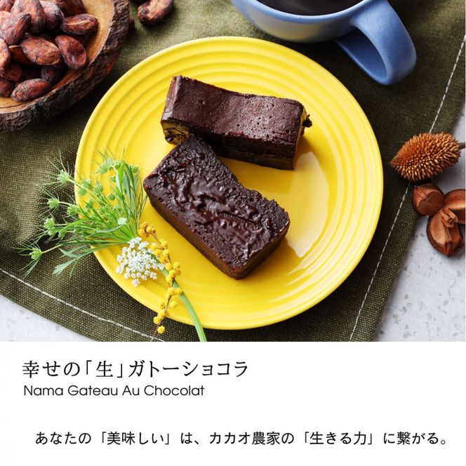 極上の口溶け。幸せの生ガトーショコラ 200g 【 濃厚  極上スイーツ グルテンフリー チョコ ショコラテリーヌ 高品質クーベルチュールチョコレート使用 一流シェフ 神奈川県 小田原市 】 142069_DW018