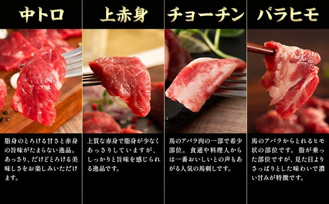 馬肉 フジチクオリジナル 希少部位 と 贅沢な ふじ馬刺し 厳選 セット 道の駅竜北《30日以内に出荷予定(土日祝除く)》 熊本県 氷川町 肉 馬肉 メン 大トロ 中トロ ヒレ シャトーブリアン ロース ランプ 上赤身 ふじ馬刺し セット 食べ比べ---sh_fyekfokb_r7_30d_133000_1160g---