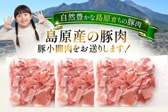 AK029 豚小間500g×3パック計1.5kg [ 豚肉 小分け 豚こま こま切れ 肉 お肉 BBQ バーベキュー 焼肉 アウトドア スターゼン 長崎県 島原市 ]