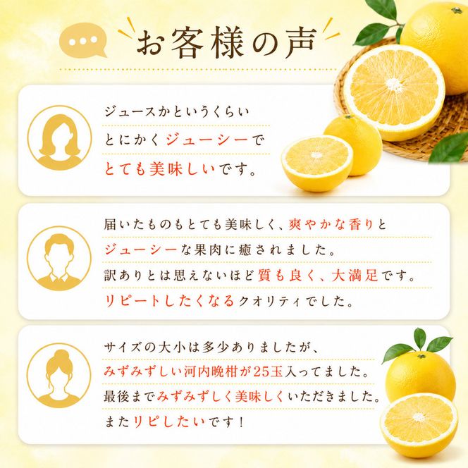 【先行予約：2027年4月上旬～発送】訳あり 河内晩柑 8kg +傷み保証1kg 8000円 みかん かわちばんかん 愛南ゴールド あいなん ゴールド 美生柑 文旦 グレープフルーツ 和製 家庭用 産地直送 国産 農家直送 期間限定 数量限定 ビタミン 特産品 ゼリー ジュース 人気 限定 さわやか 甘い フルーツ 果物 柑橘 蜜柑 規格外 愛媛県 愛南町 塚岡農園