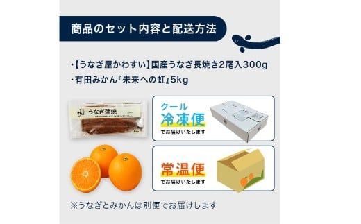 【コラボ】国産うなぎ蒲焼き大サイズ２本セット(うなぎの肝吸い2食付き)＆有田みかん「未来への虹」（5kg）(A1125-1)
