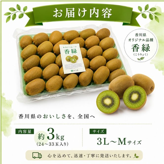 香川オリジナルキウイフルーツ「香緑（こうりょく）」約3kg 果物類 果物詰合せ 