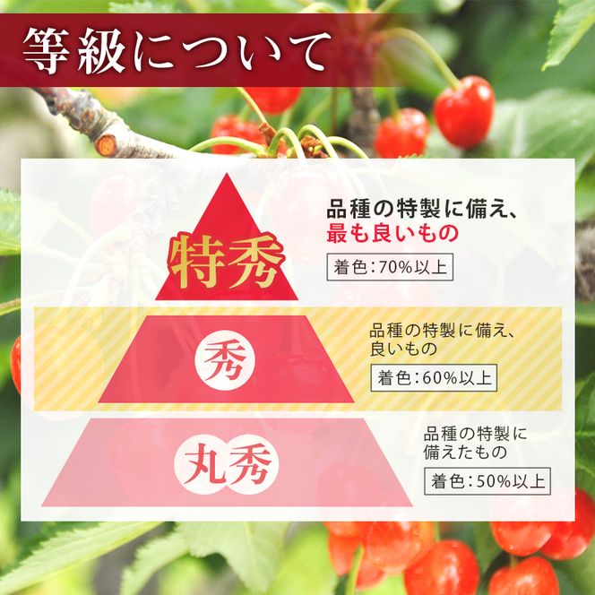 FYN6-611 ≪2027年先行予約≫山形県産 品種おまかせ さくらんぼ(佐藤錦・紅秀峰など) 700g(350g×2) 秀品 L以上 バラパック詰め 2027年6月中旬から順次発送 果物 くだもの フルーツ サクランボ チェリー 贈答 贈り物 ギフト プレゼント 自宅 家庭 産地直送 山形県 西川町 月山