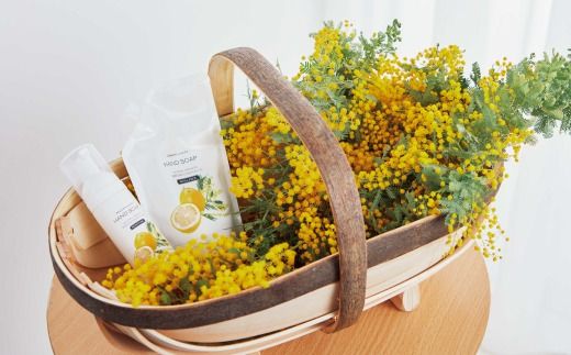 【 ミアミモザ 】【 ギフト箱入 】ミアミモザ ハンドソープ ＆ 詰め替え レフィル セット 各1個 化粧箱 ギフト箱 天然香料 が ふんわり 広がる 手洗い ギフト プレゼント 美容 コスメ 高知県 高知 四万十市 四万十 しまんと 25-73