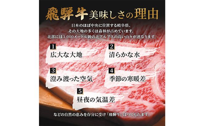 ふるさと納税　飛騨牛 もも肉 赤身 焼肉 500g A5 和牛 牛肉 お肉 モモ モモ肉 焼肉用 バーベキュー BBQ 
