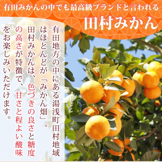 【2026年11月下旬より発送】高級ブランド 田村みかん 10kg【家庭用 訳あり】_G7053