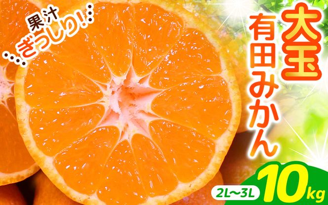 ＼ みかんの名産地 和歌山県産／ 農家直送 大玉 有田みかん 10kg （2L～3L） ひとつひとつ手選別で厳選【2026年11月下旬～2027年1月中旬ごろに順次発送予定】 | みかん フルーツ 果物 くだもの 有田みかん 蜜柑 柑橘【hdm001-2A】